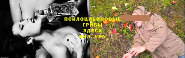 ГАЛЛЮЦИНОГЕННЫЕ ГРИБЫ Каменка