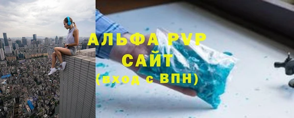 ГАЛЛЮЦИНОГЕННЫЕ ГРИБЫ Каменка