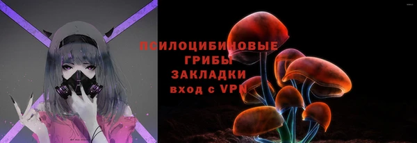 ГАЛЛЮЦИНОГЕННЫЕ ГРИБЫ Каменка