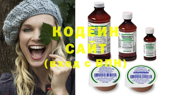 ГАЛЛЮЦИНОГЕННЫЕ ГРИБЫ Каменка