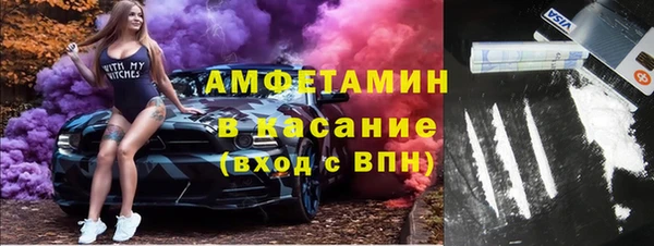 ГАЛЛЮЦИНОГЕННЫЕ ГРИБЫ Каменка