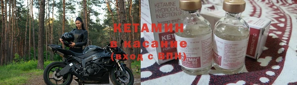 ГАЛЛЮЦИНОГЕННЫЕ ГРИБЫ Каменка