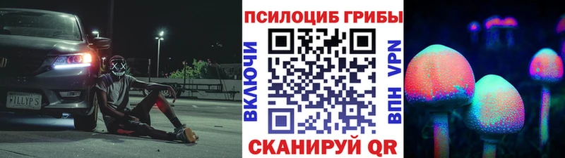Купить закладки  Зуевка  Псилоцибиновые грибы мицелий 